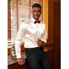 image:imageCOOFANDY Mens Satin Dress Shirts Long Sleeve Shiny Button Down ShirtBeige