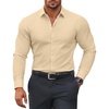 Light Khaki